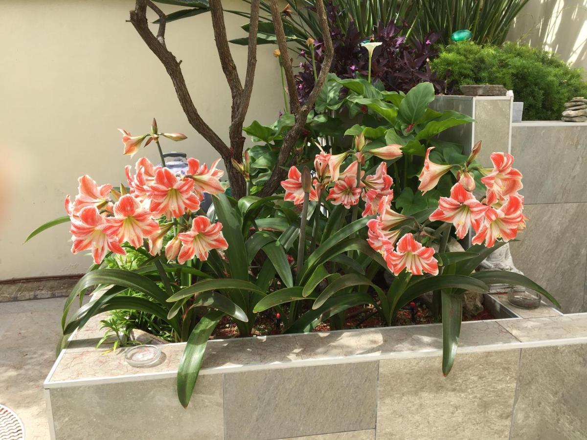 Apartamento Bizcocheros Con Piscina Y Jardin Privado Jerez de la Frontera Ngoại thất bức ảnh